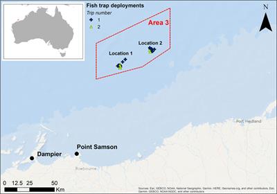 Trophic Structure and Diet of Predatory Teleost Fishes in a Tropical Demersal Shelf Ecosystem